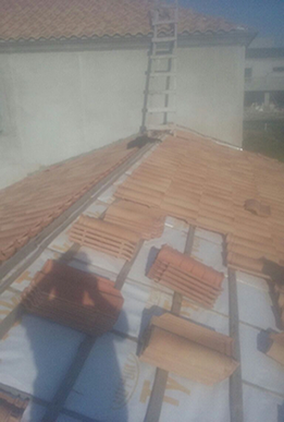 techosalberto11
