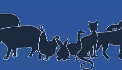 El Círculo de Veterinarios de Pilar brindará charlas gratuitas