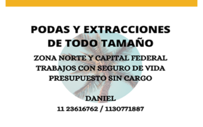 Podas y Extracciones de todo tamaño llego a Pilar GPS