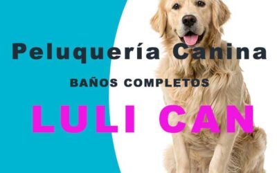 LULI CAN, todo para tu mascota
