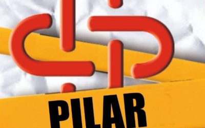 Papelera Mas Pack Pilar, distribuidora oficial.