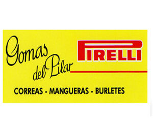 Los productos que necesitas están en Gomas del Pilar
