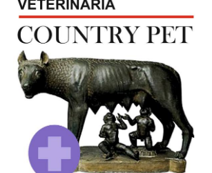 Brindando un servicio integral para tu mascota – Veterinaria Country Pet